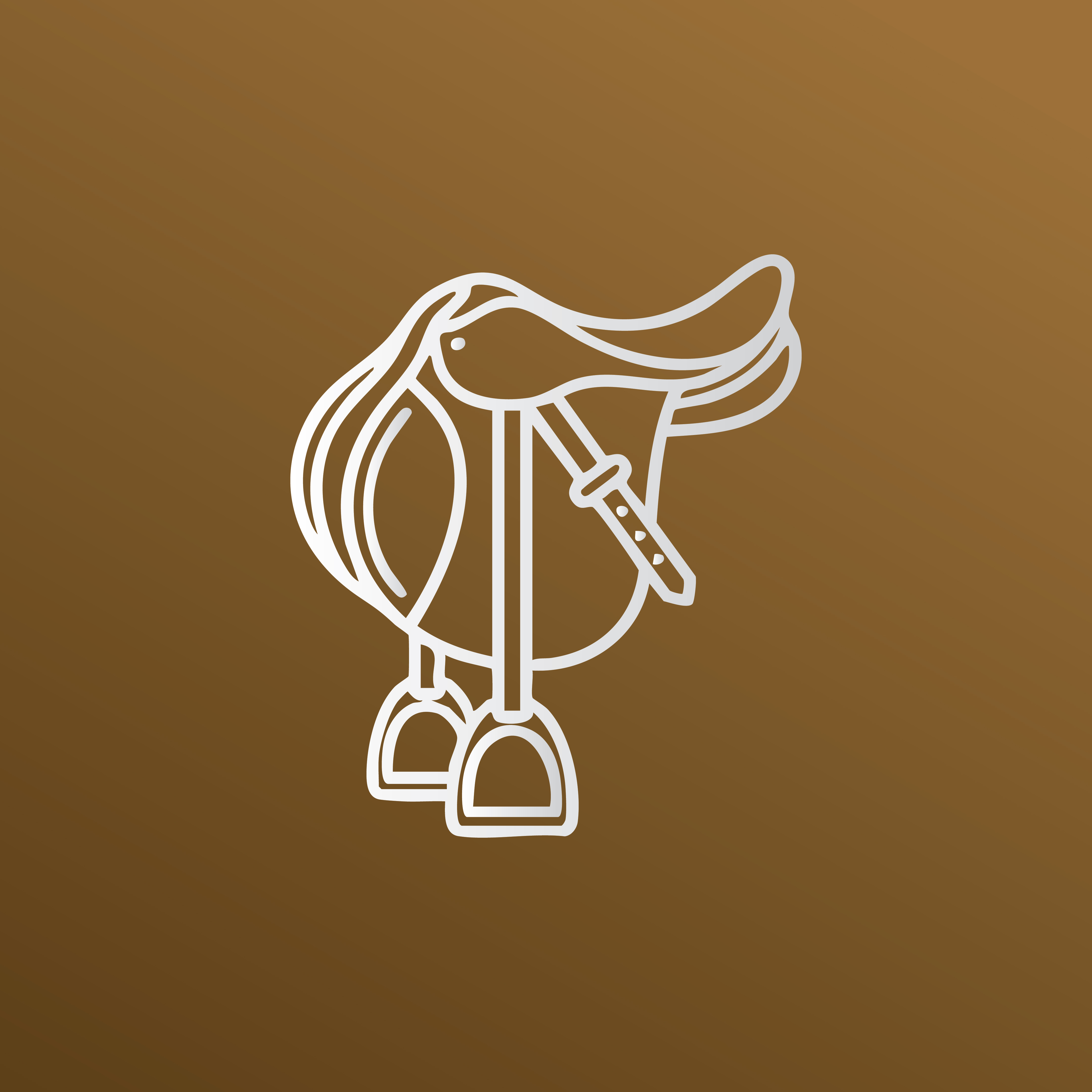 Saddles