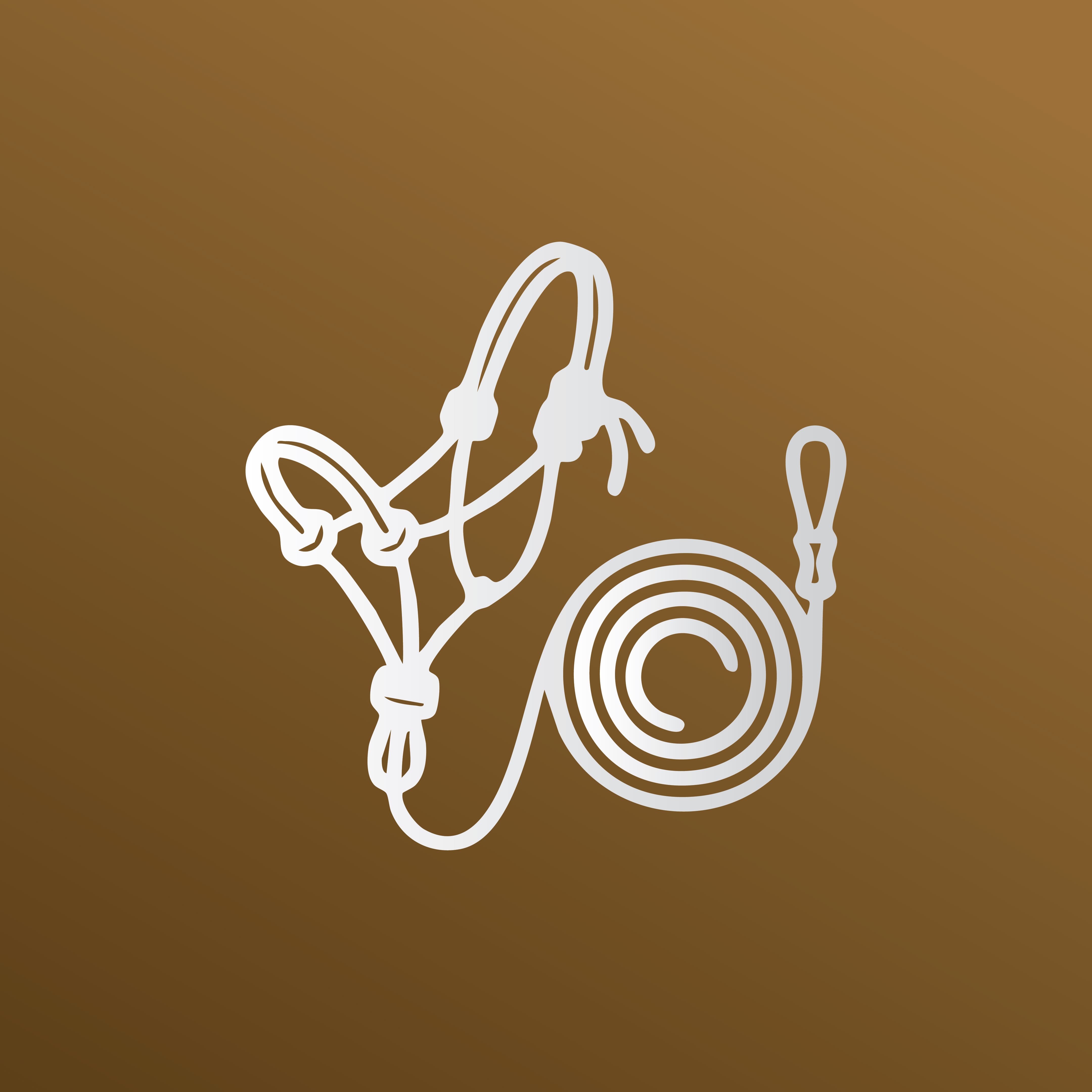Bridles & Halters