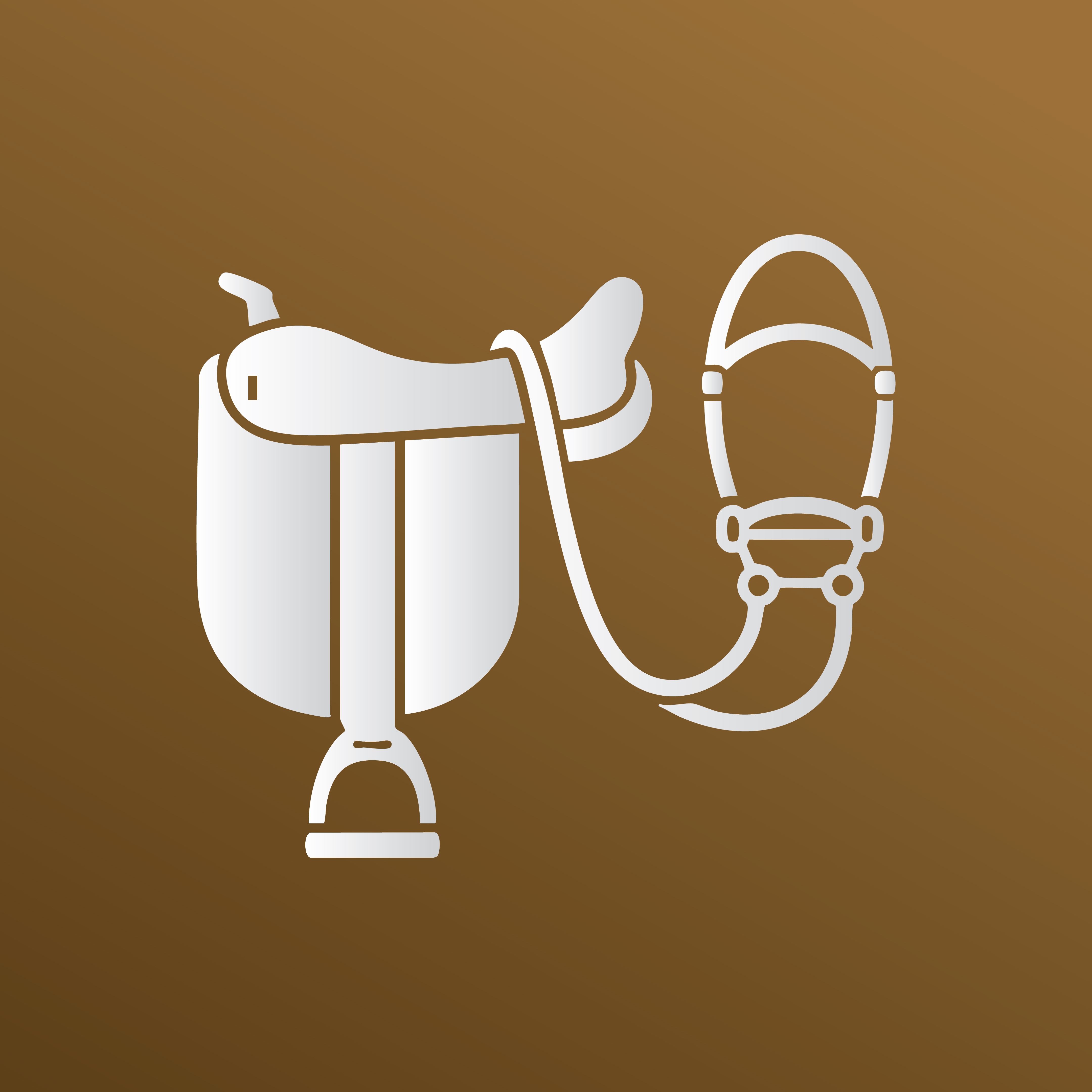 Horse Equipment and Supplies