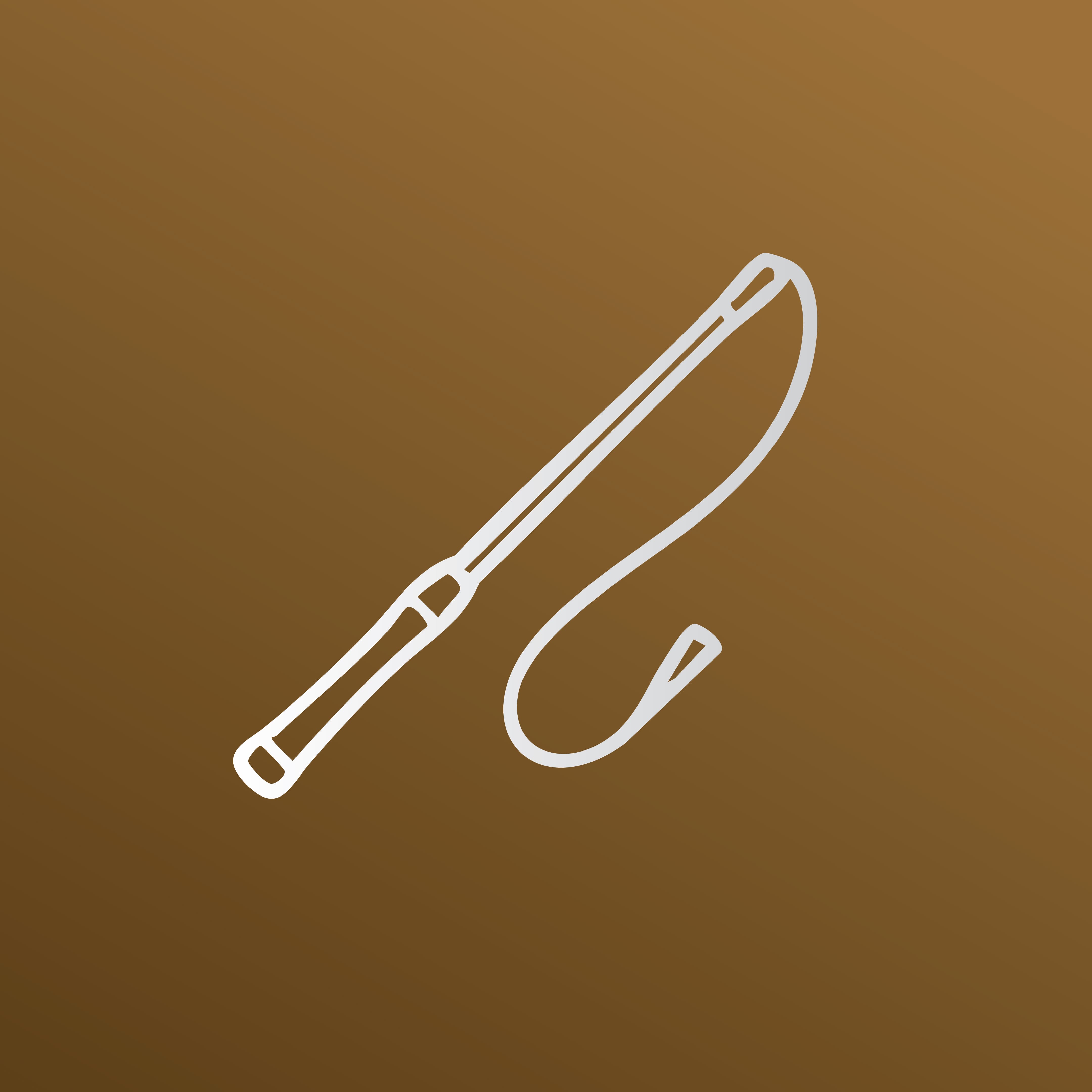 Horse Training Equipment