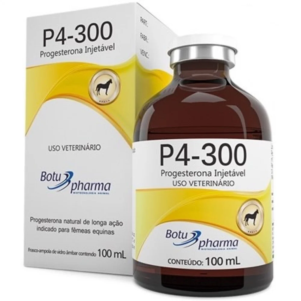 P4-300