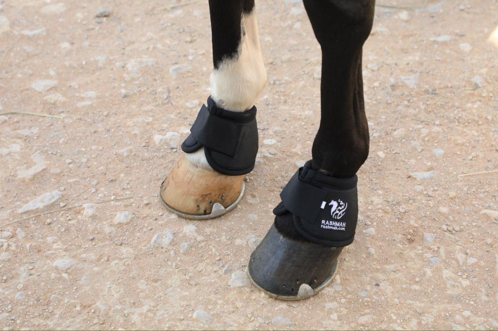 Bell Boot