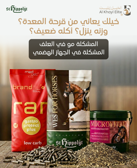®WES Gastro Beet