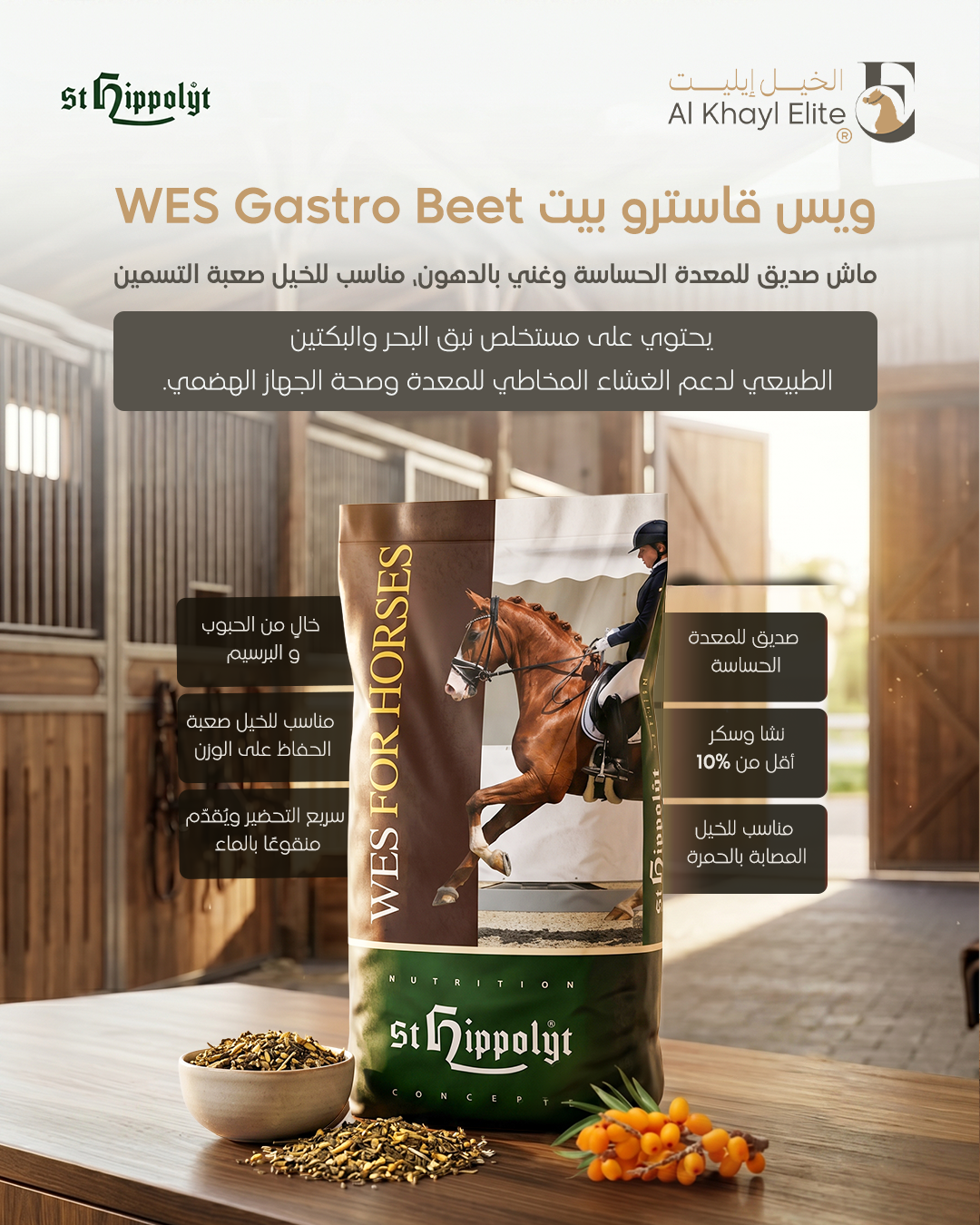 ®WES Gastro Beet