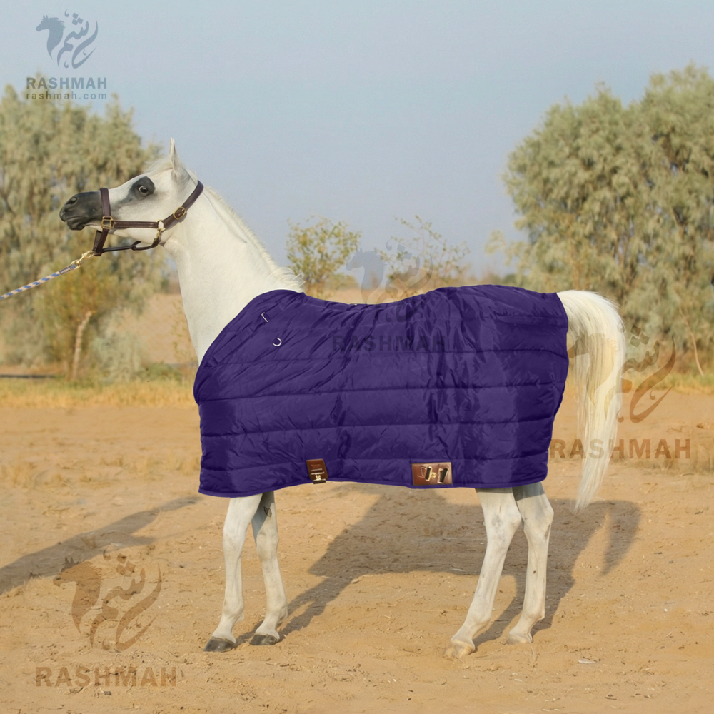 SB Medium Weight Stable Blanket – Purple