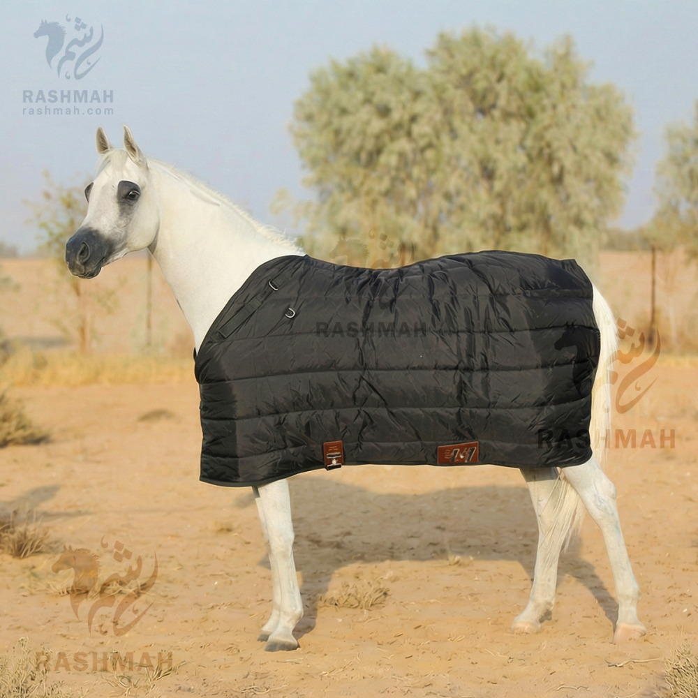 SB Medium Weight Stable Blanket