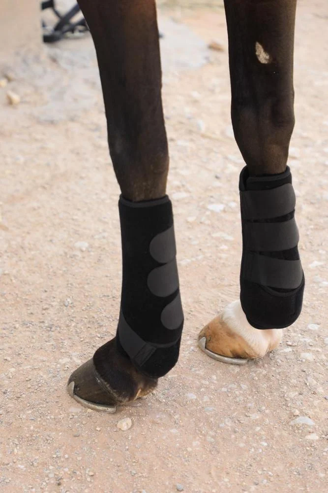 Equine Support Boots