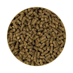 FOHLENGOLD® Bonecare