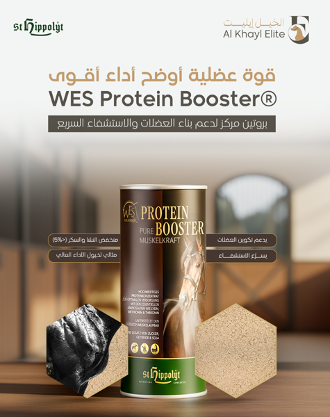 ®WES Protein Booster