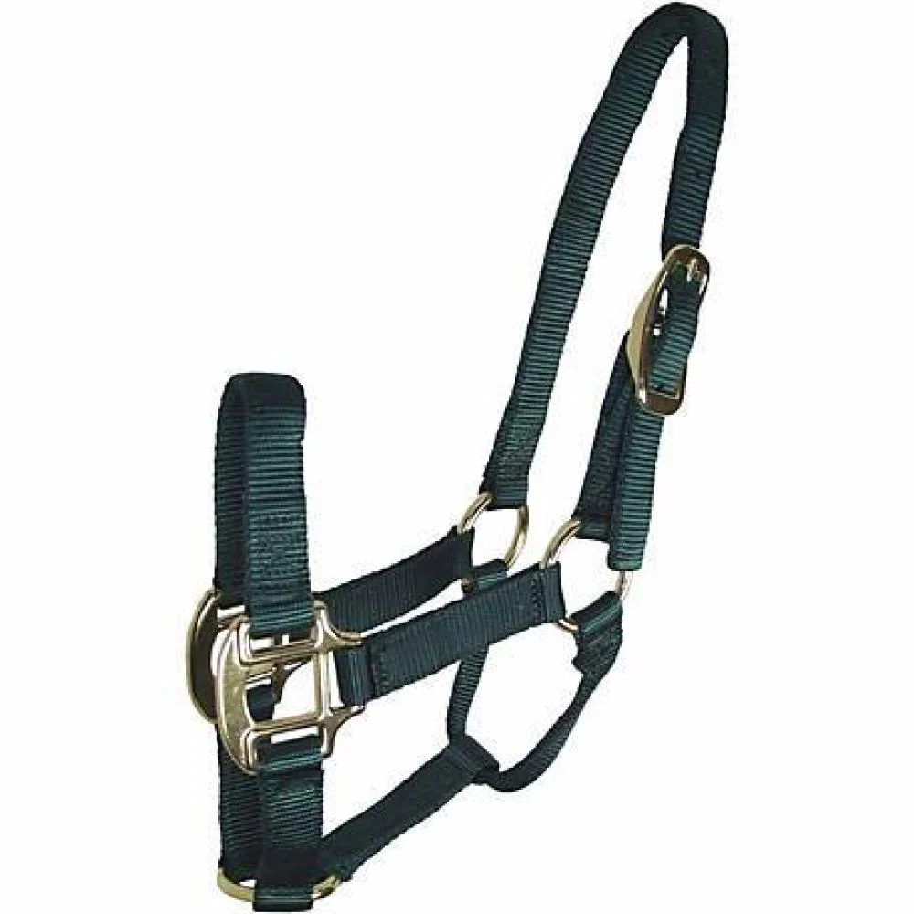 Stable Saddle Pad