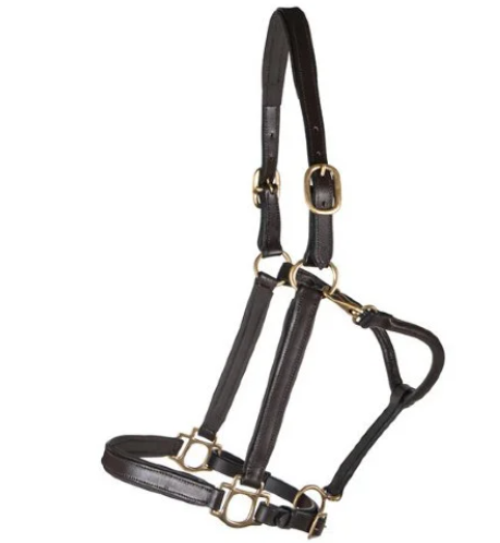 Leather Halter