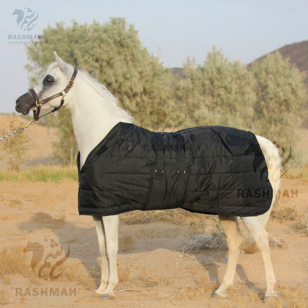 MB Cutback Bellyband Heavy Weight blanket